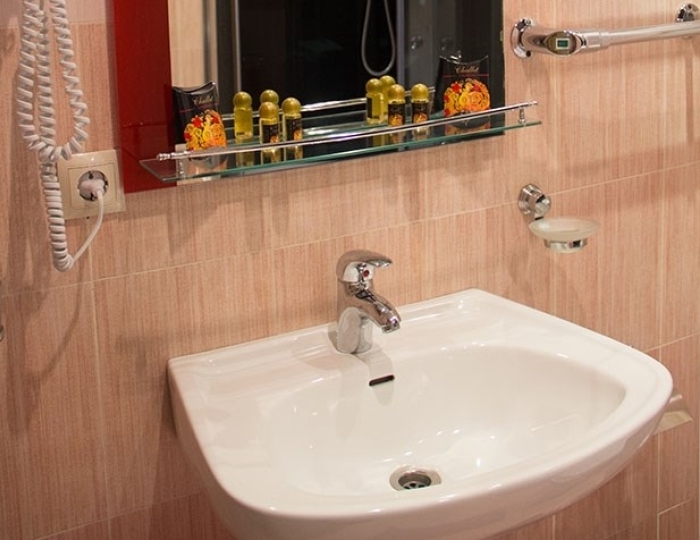 Джуниор сюит 2-местный ЭКО - Санаторий «Жемчужина Белокурихи»