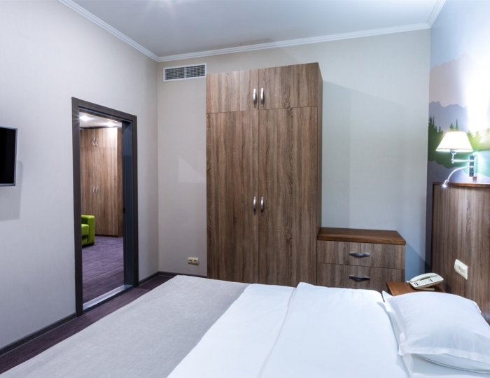 Люкс 2-местный (корпус) - Санаторий «Жемчужина Белокурихи»