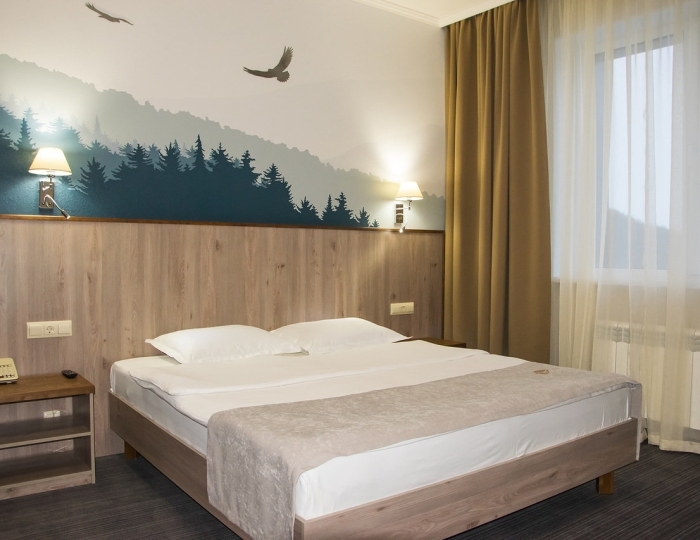 Люкс 2-местный (корпус) - Санаторий «Жемчужина Белокурихи»